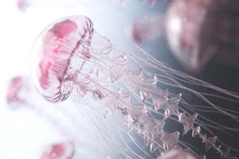 http://jinhua.vdtfzz.com/post/208.html|金华人工试管