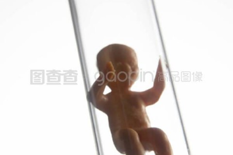 http://jinhua.vdtfzz.com/post/197.html|金华试管助孕