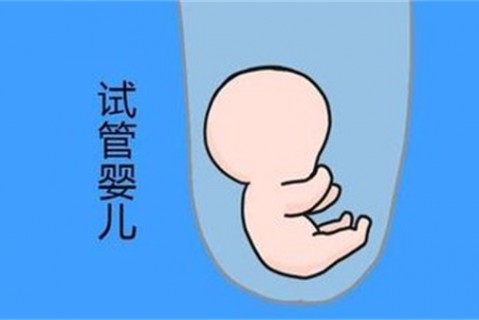 http://jinhua.vdtfzz.com/post/194.html|金华新闻中心