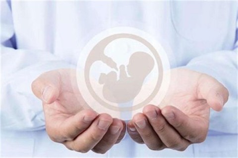 http://jinhua.vdtfzz.com/post/214.html|金华人工试管
